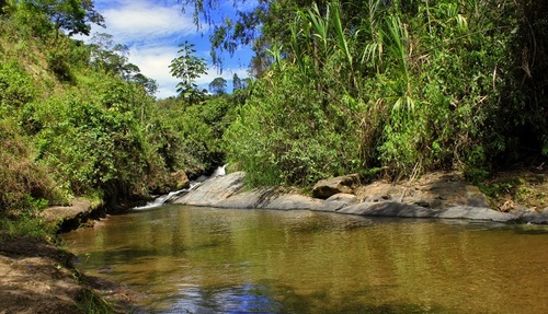 Episode cover: 137. Vereda de la Chorrera.