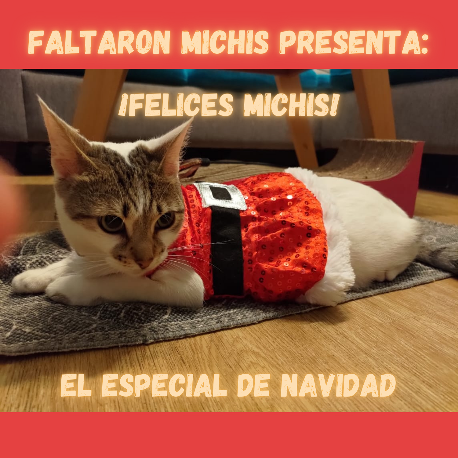 Faltaron Michis