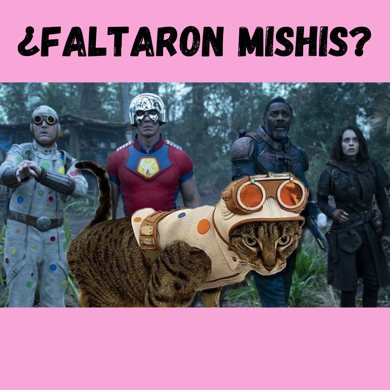 Faltaron Michis