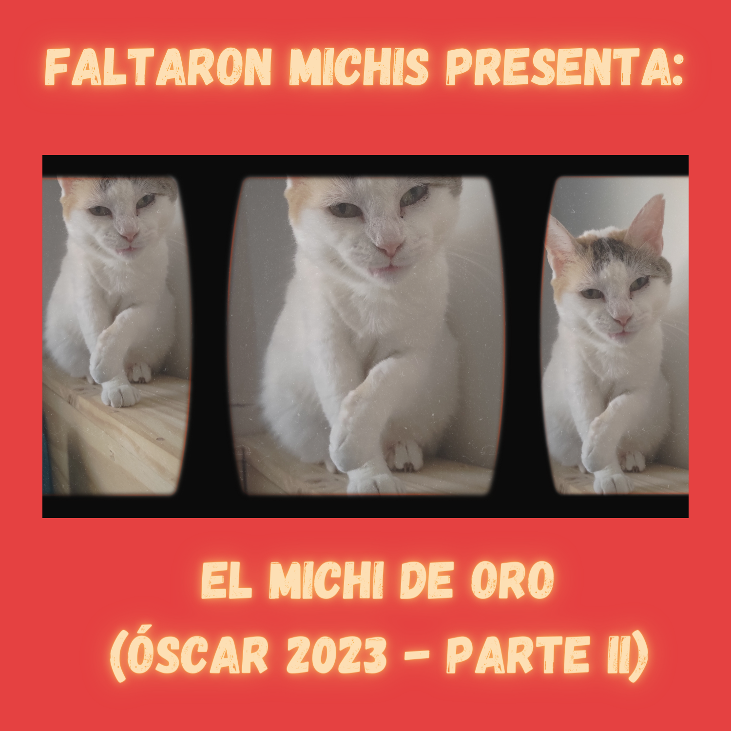 Faltaron Michis
